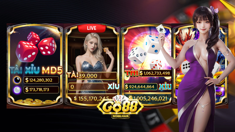 Banner www.gilxnhzgsy.com